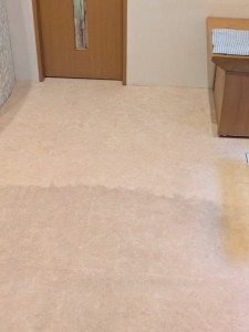 PXL_20251224_233017450